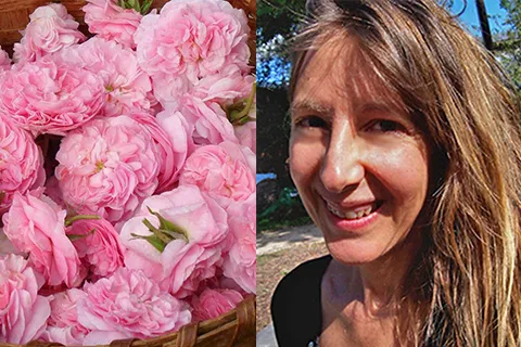 Dabney & roses
